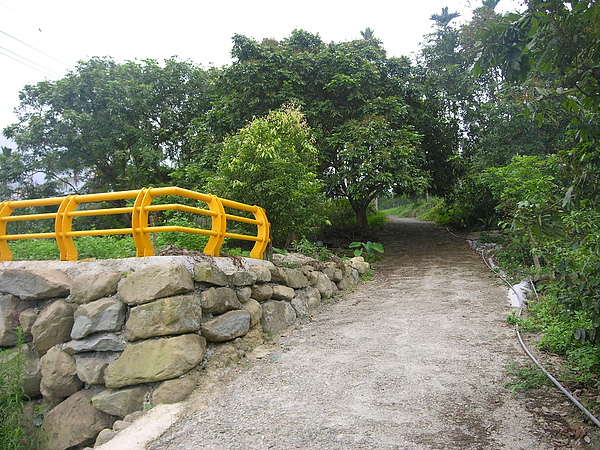 20100511東山自然休閒步道再次現調 (8).JPG