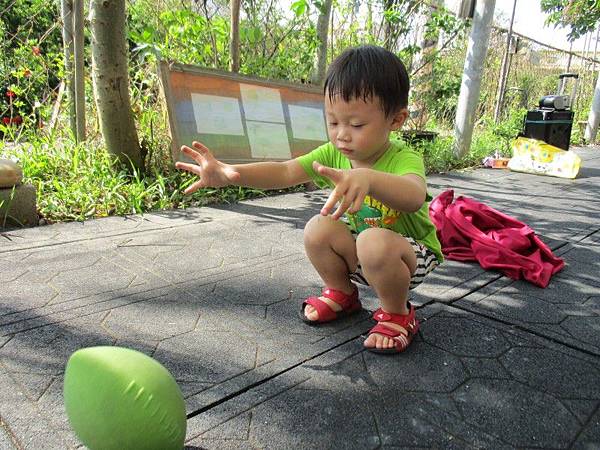 IMG_1862.jpg IMG_1862.jpg