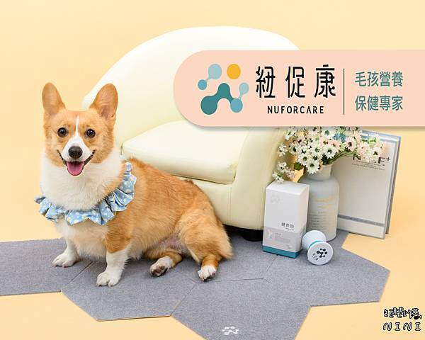 SUZ_11544 - 複製.jpg