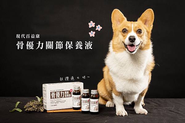 SUZ_4257 - 複製.jpg