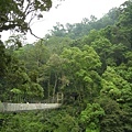 神仙谷吊橋.JPG