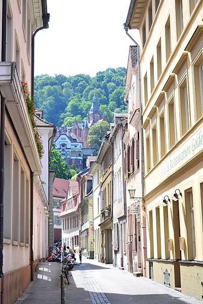 DSC_0069.JPG DSC_0069.JPG