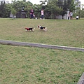 2012.04.08 永四號公園跑跑-03