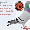 BE13-4234808 馬歇爾公.jpg