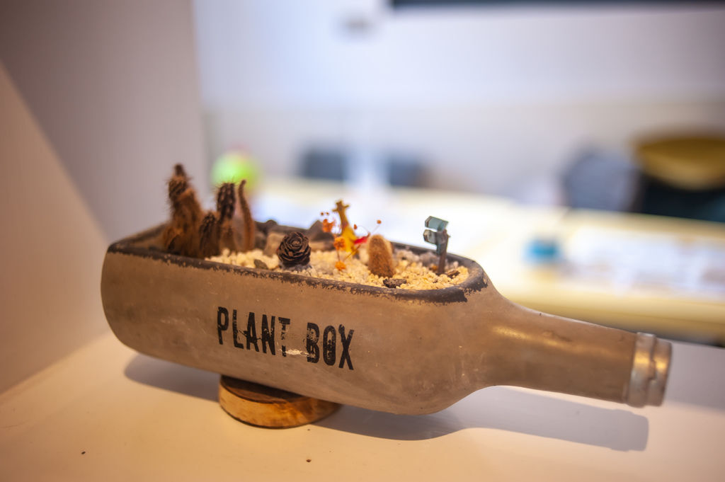 DSC_4698.jpg DSC_4698.jpg