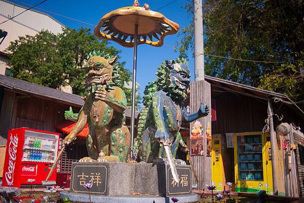 DSC_4666.jpg DSC_4666.jpg