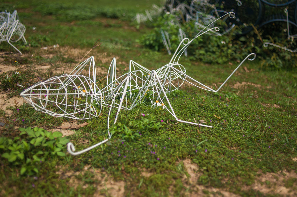 DSC_5129.jpg DSC_5129.jpg