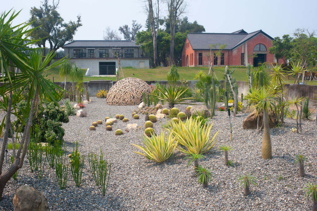 DSC_5202.jpg DSC_5202.jpg