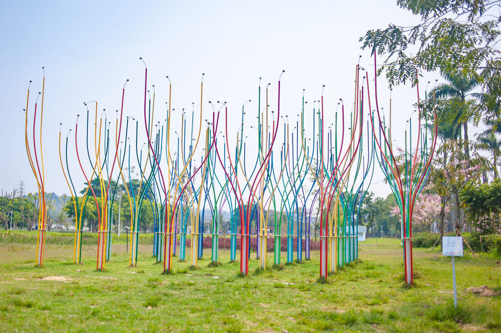 DSC_5218.jpg DSC_5218.jpg