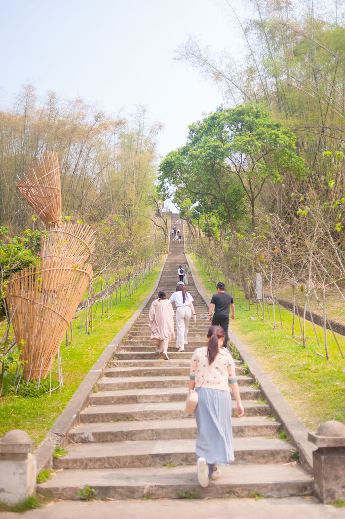 DSC_5259.jpg DSC_5259.jpg