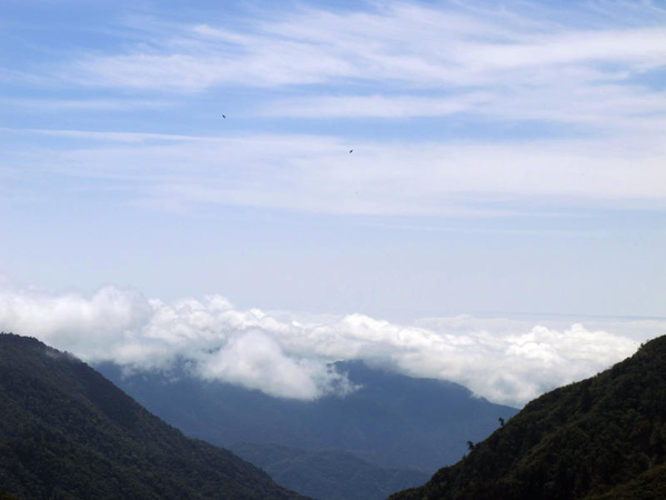 太平山-雲開.jpg
