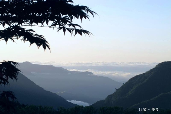 太平山-雲海.jpg