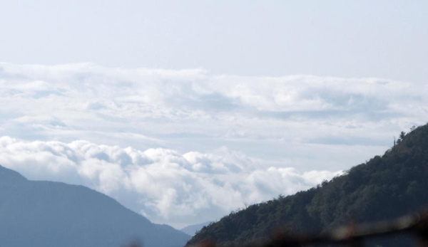 太平山-雲海5.jpg