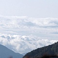 太平山-雲海5.jpg