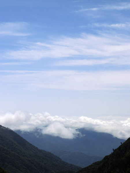太平山-雲開1.jpg