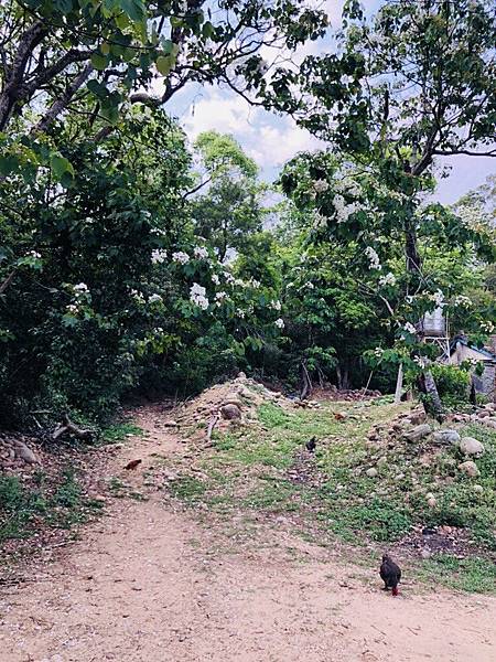 火炎山登山2018.04.23_180423_0024.jpg