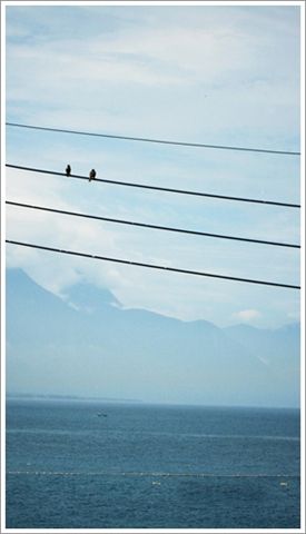 2010.09.03_七星潭.jpg 2010.09.03_七星潭.jpg