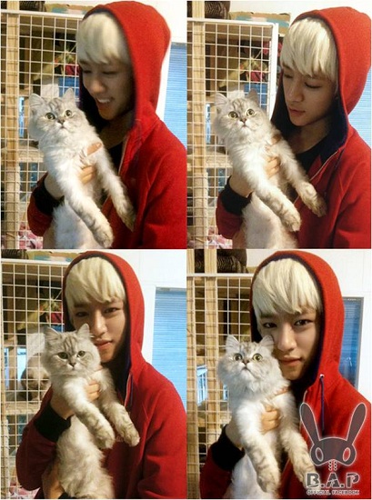 20120201_daehyun_cat.jpg