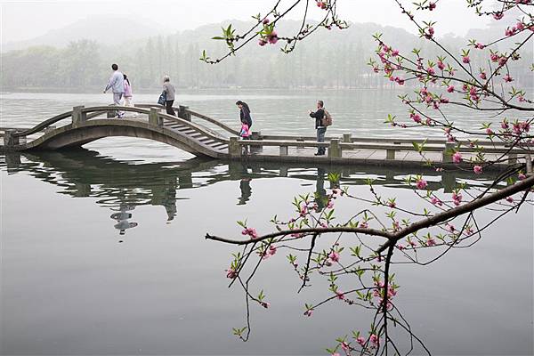 pic_s12845 pic_s12845