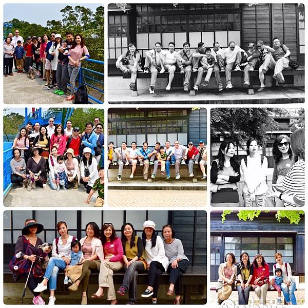 20160403 銅鑼 苑裡 藍天綠地探_1582