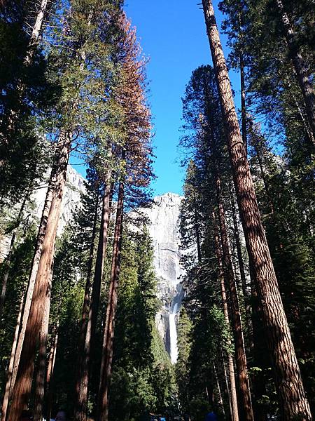 DSC_0307.JPG DSC_0307.JPG