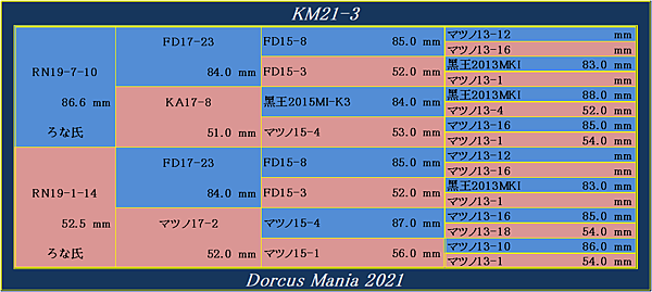 KM21-3.png