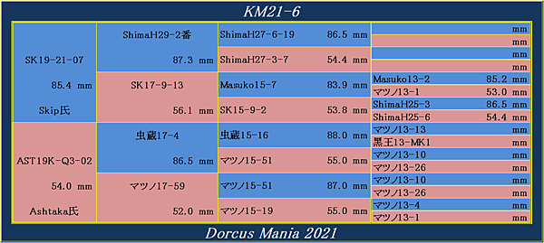 KM21-6.png