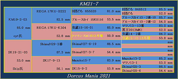 KM21-7.png