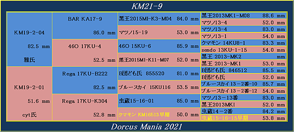 KM21-9.png