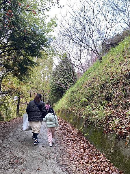 2024.03.02 //新竹// 司馬庫斯一日遊