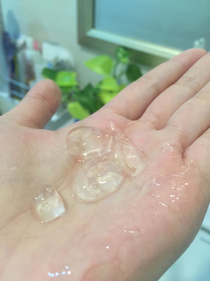 13043518_10209324245373609_5889716027282119862_n.jpg 13043518_10209324245373609_5889716027282119862_n.jpg