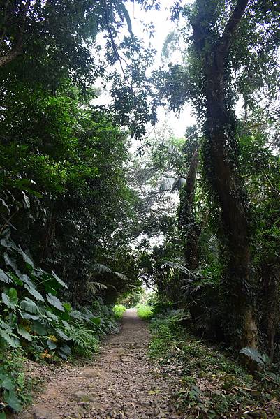 A00_2571.JPG A00_2571.JPG