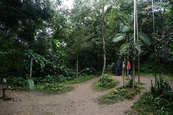 A00_2583.JPG A00_2583.JPG