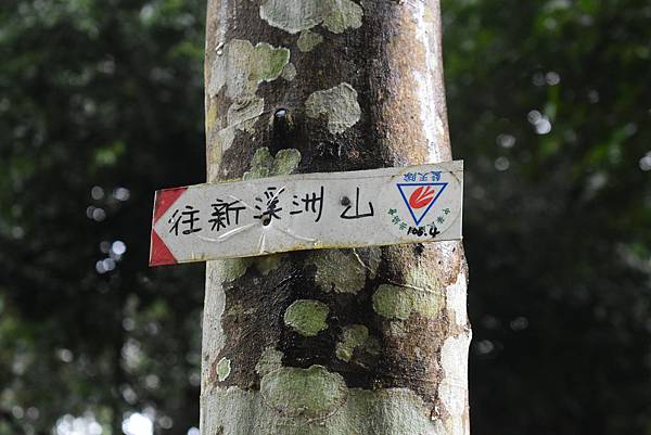 A00_2582.JPG A00_2582.JPG