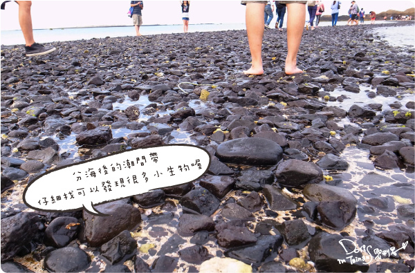 澎湖DAY1-23.JPG 澎湖DAY1-23.JPG