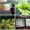 興隆熱帶植物園