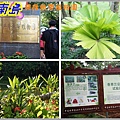 興隆熱帶植物園