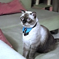 DSC03671.JPG