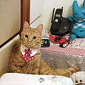 DSC03677.JPG
