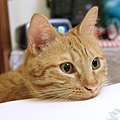 DSC03685.JPG