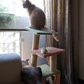 DSC03704.JPG