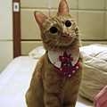 DSC03663.JPG