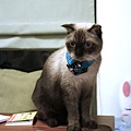 DSC03670.JPG