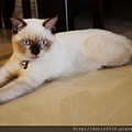 DSC00103.JPG