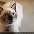 DSC00110.JPG