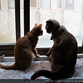 DSC00198.JPG