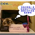 睡覺N部曲-2.jpg