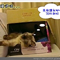 睡覺N部曲-3.jpg