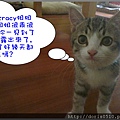布雷-3.jpg