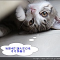 布雷-8.jpg